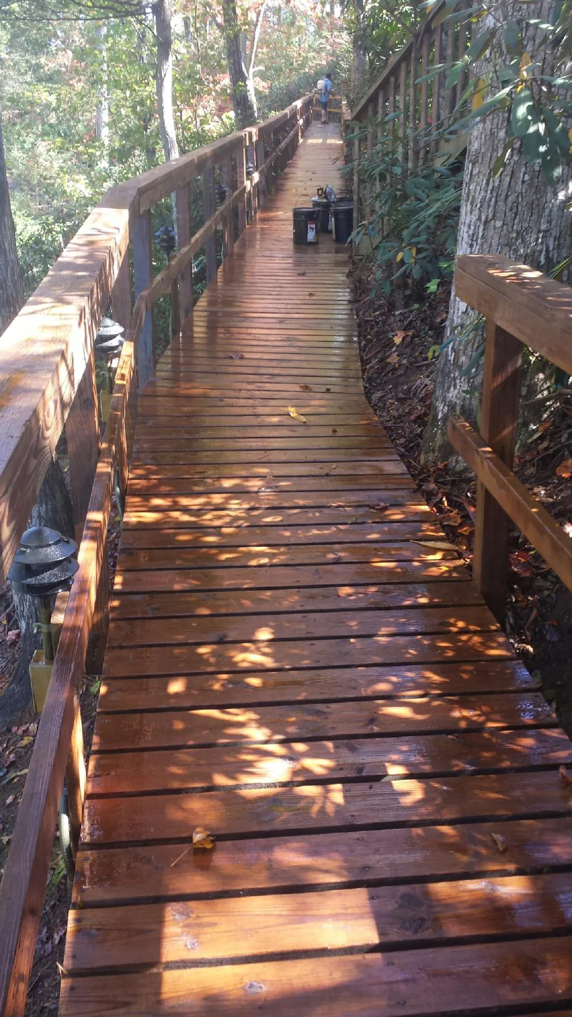 Freshly stained wood walkway winding through the woods in Pleasant Hill